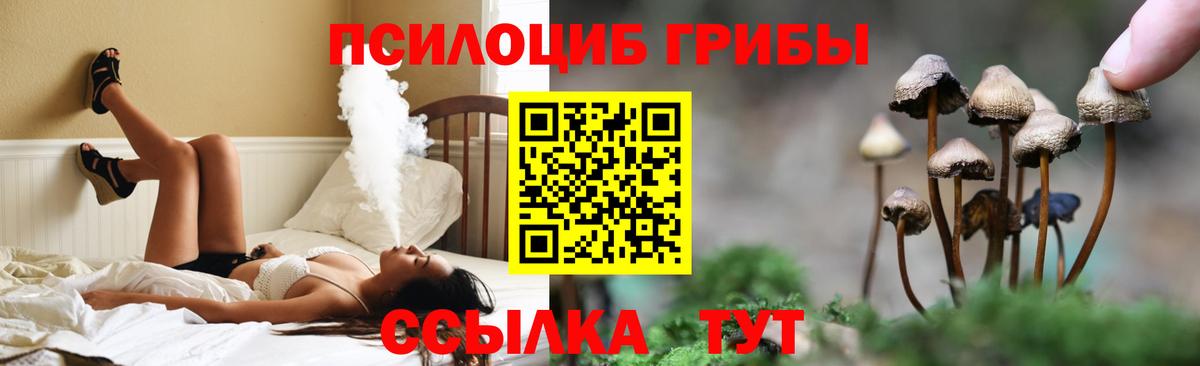 Таганрог  Галлюциногенные грибы Psilocybe  Вход с VPN 